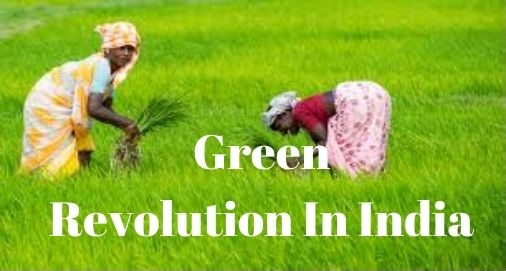 भारत में हरित क्रांति और आर्थिक बदलाव, आधुनिकीकरण, उत्पादकता में वृद्धि, आर्थिक विकास अतिरिक्त उत्पादन के माध्यम से मिला हैं।